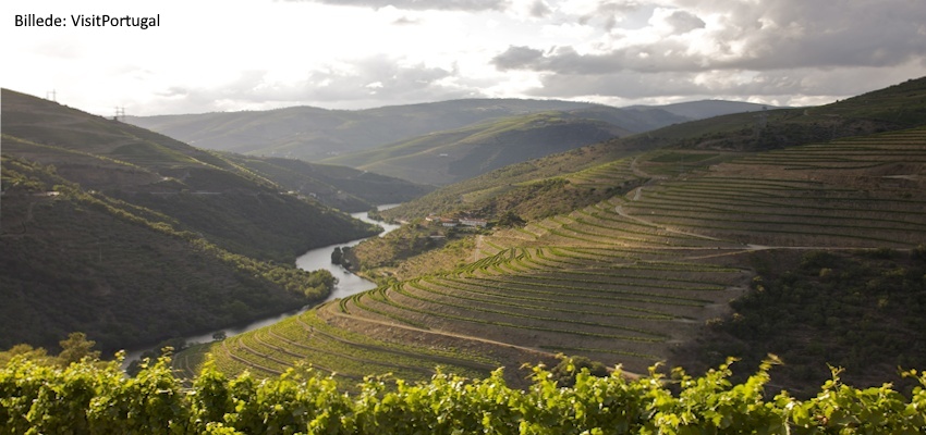 Flodkrydstogt p Douro-floden