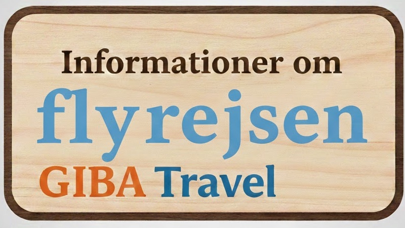 Informationer om flyrejsen